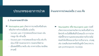 ประเภทของอาการปวด
► Nociceptive pain เกิดจากการบาดเจ็บหรืออักเสบ
หรือเกิดการทาลายเนื้อเยื่อ แบ่งเป็น
- Somatic pain การปวดของอวัยวะภายนอก เช่น
กระดูก ข้อ กล้ามเนื้อ
- Visceral pain การปวดของอวัยวะภายใน เช่น ตับ
อ่อน ลาไส้ กระเพาะอาหาร กระเพาะปัสสาวะ
- เมื่อเซลล์ได้รับบาดเจ็บ เช่น จากความร้อน ของมีคม
สารเคมี
► Neuropathic หรือ Neurogenic pain ปวดที่
เกิดจากระบบประสาทเกิดการบาดเจ็บหรือทางาน
ผิดปกติ ยกเว้นที่สัมพันธ์กับโรคมะเร็ง อาการปวด
ชนิดนี้รักษายากและตอบสนองต่อยาระงับปวดไม่
ค่อยดี ต้องใช้ระยะเวลาในการปรับยานาน สาเหตุ
เช่น ปวดเส้นประสาทหลังเป็นงูสวัด โรคเบาหวาน
และ postherapeutic neuralgia
จาแนกอาการปวดแบ่งเป็น 2 แบบ คือ
2. จาแนกตามพยาธิกาเนิด
 