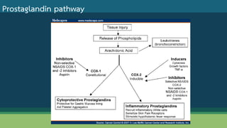 Prostaglandin pathway
 