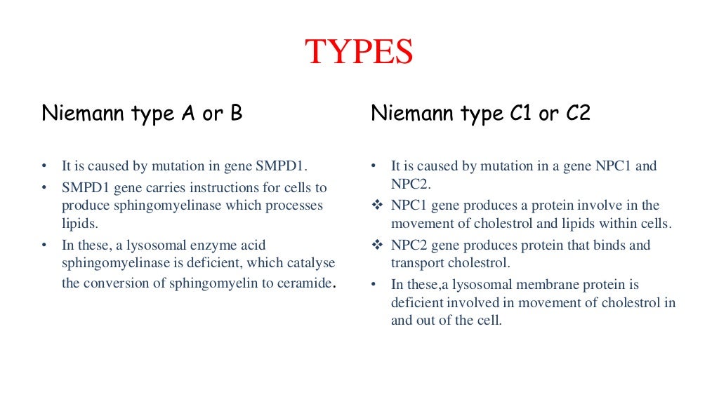 Niemann Pick Disease