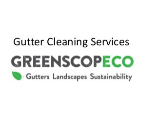 Gutter Cleaning Services
 