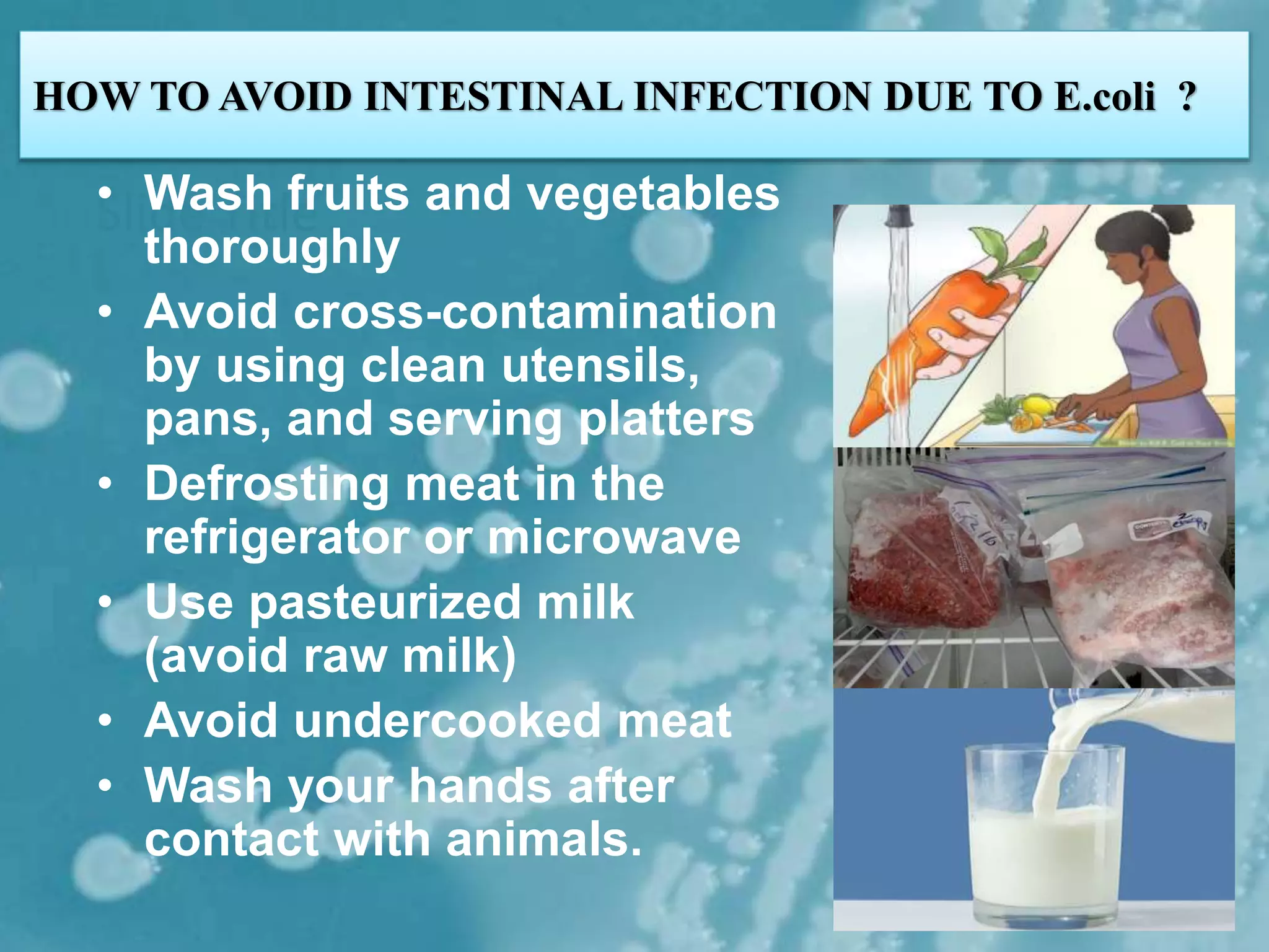 safety measures while working with escherichia coli | PPTX