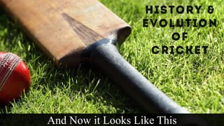 And Now it Looks Like This
 