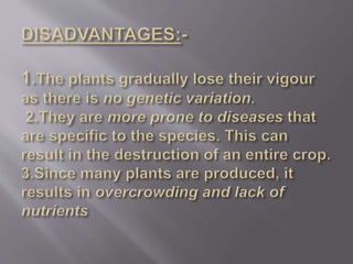 Propagation by vegetative structures