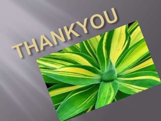 Propagation by vegetative structures