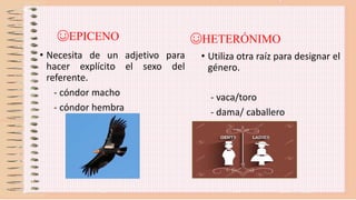 Ppt. sustantivo. 6 | PPTX