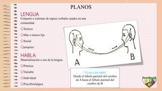 PLANOS
LENGUA
Conjunto o sistemas de signos verbales usados en una
comunidad.
☺Teórica
☺Más o menos fija
☺Social
☺psíquica
HABLA
Materialización o uso de la lengua.
☺Práctica
☺Variable
☺Individual
☺Psicofisiológica
“ El acto del habla”
Desde el lóbulo parietal del cerebro
de A hasta el lóbulo parietal del
cerebro de B
 