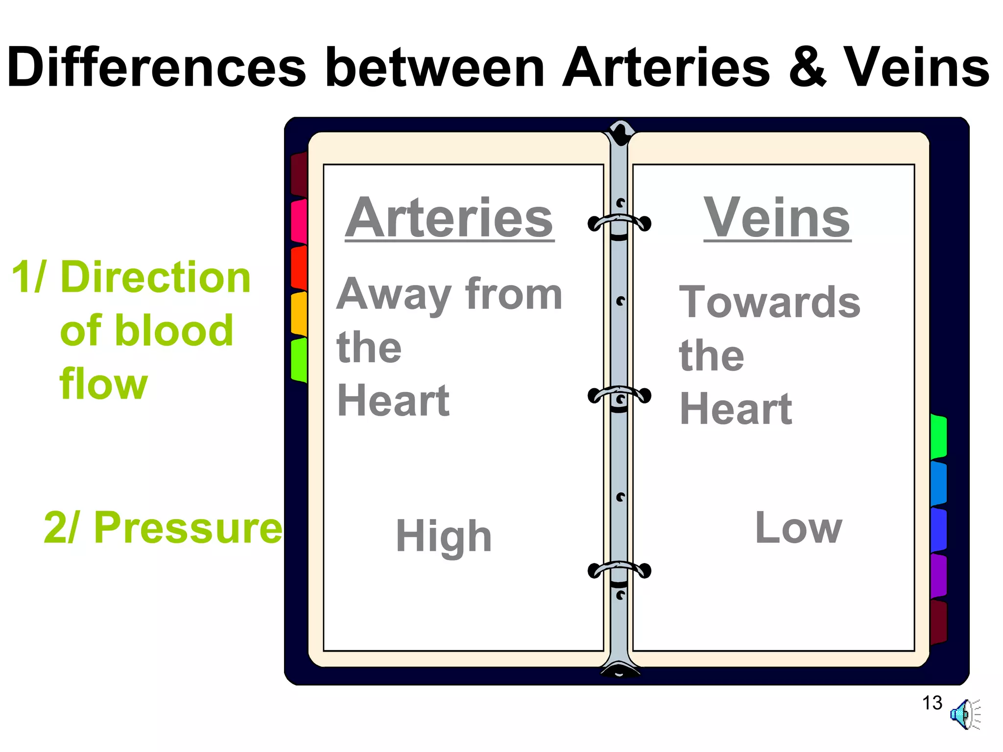 13
Differences between Arteries & Veins
Arteries Veins
1/ Direction
of blood
flow
2/ Pressure
Away from
the
Heart
Towards
the
Heart
High Low
 