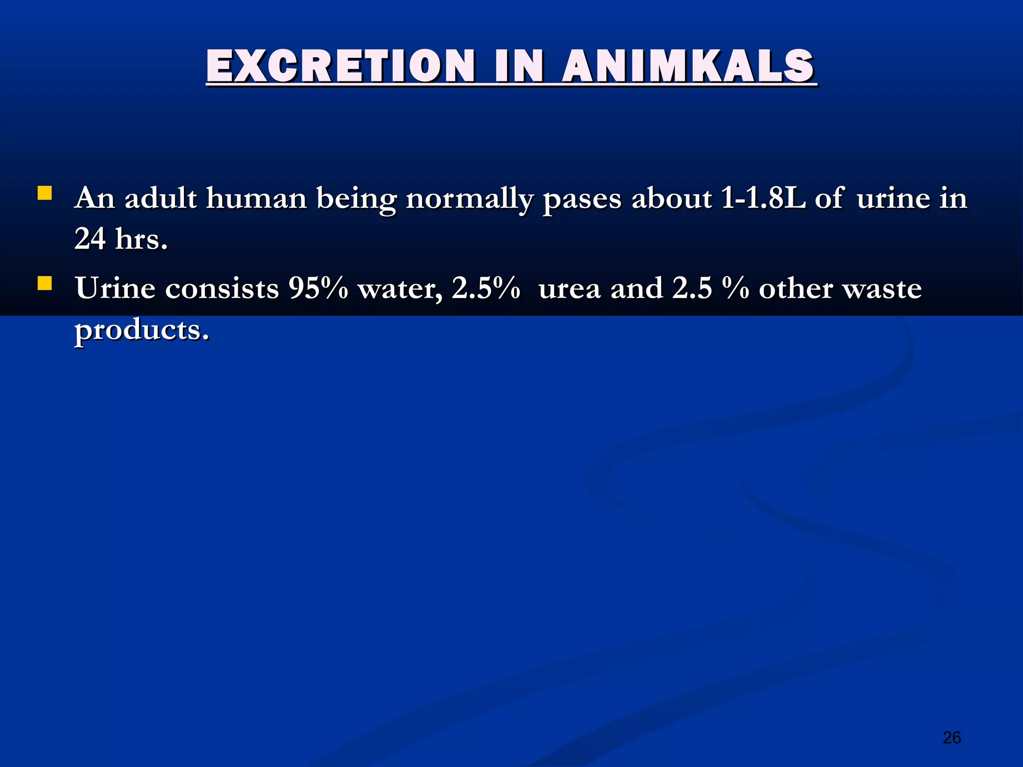 26
EXCRETION IN ANIMKALSEXCRETION IN ANIMKALS
 An adult human being normally pases about 1-1.8L of urine inAn adult human being normally pases about 1-1.8L of urine in
24 hrs.24 hrs.
 Urine consists 95% water, 2.5% urea and 2.5 % other wasteUrine consists 95% water, 2.5% urea and 2.5 % other waste
products.products.
 