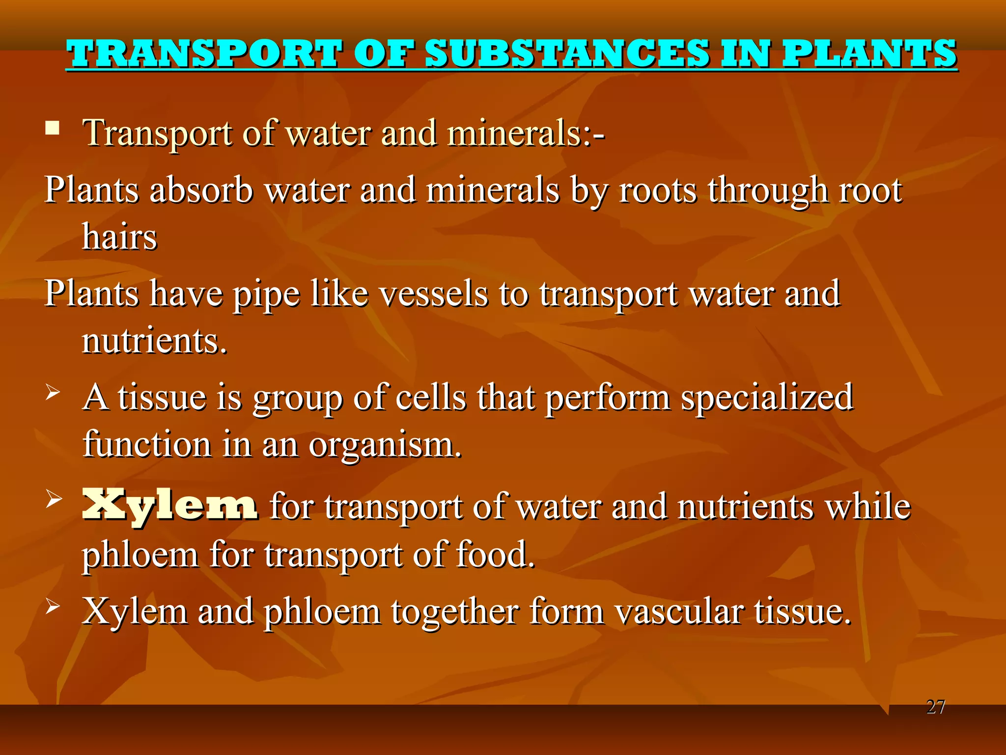 2727
TRANSPORT OF SUBSTANCES IN PLANTSTRANSPORT OF SUBSTANCES IN PLANTS
 Transport of water and mineralsTransport of water and minerals:-:-
Plants absorb water and minerals by roots through rootPlants absorb water and minerals by roots through root
hairshairs
Plants have pipe like vessels to transport water andPlants have pipe like vessels to transport water and
nutrients.nutrients.
 A tissue is group of cells that perform specializedA tissue is group of cells that perform specialized
function in an organism.function in an organism.
 XylemXylem for transport of water and nutrients whilefor transport of water and nutrients while
phloem for transport of food.phloem for transport of food.
 Xylem and phloem together form vascular tissue.Xylem and phloem together form vascular tissue.
 
