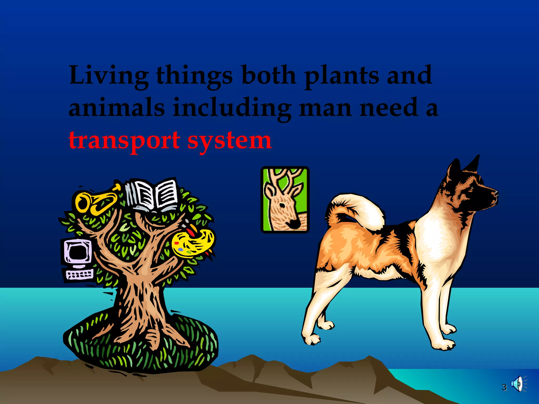33
Living things both plants and
animals including man need a
transport system
 