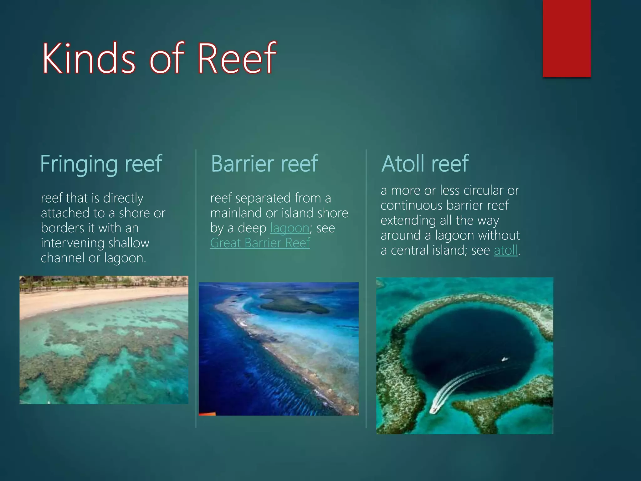Fringing reef
reef that is directly
attached to a shore or
borders it with an
intervening shallow
channel or lagoon.
Barrier reef
reef separated from a
mainland or island shore
by a deep lagoon; see
Great Barrier Reef
Atoll reef
a more or less circular or
continuous barrier reef
extending all the way
around a lagoon without
a central island; see atoll.
 