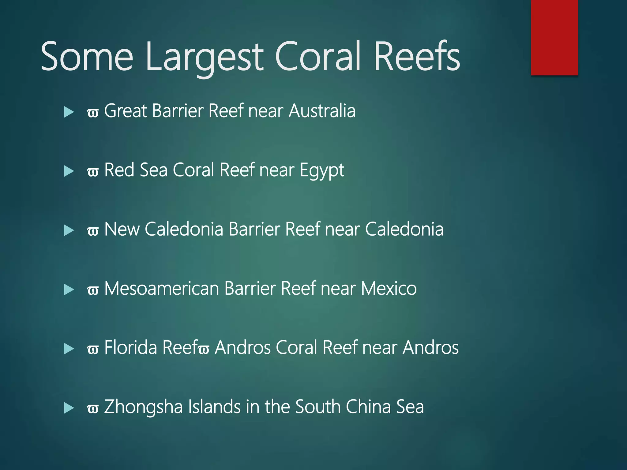 Some Largest Coral Reefs
  Great Barrier Reef near Australia
  Red Sea Coral Reef near Egypt
  New Caledonia Barrier Reef near Caledonia
  Mesoamerican Barrier Reef near Mexico
  Florida Reef Andros Coral Reef near Andros
  Zhongsha Islands in the South China Sea
 