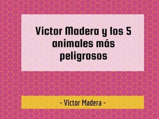 Victor Madera y los 5 animales más peligrosos
 
