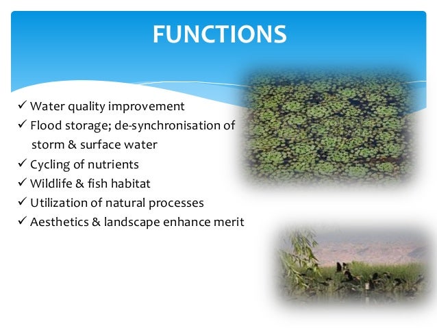introduction to water treatment pdf