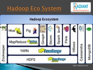 Phone No +1(210)503-7100 http://radiantits.com/
 