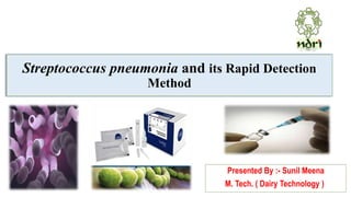 Streptococcus pneumonia and its Rapid Detection Method | PPTX