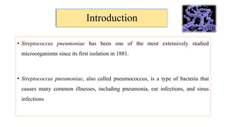 Streptococcus pneumonia and its Rapid Detection Method | PPTX