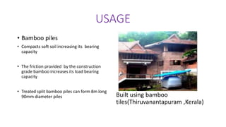 Bamboo as a building material | PPTX