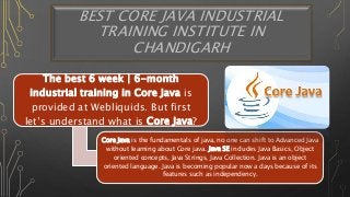 Best six week | 6-month industrial training institute in Chandigarh ...