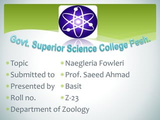 Topic
Submitted to
Presented by
Roll no.
Department of
Naegleria Fowleri
Prof. Saeed Ahmad
Basit
Z-23
Zoology
 