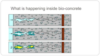 Bio-Concrete | PPTX