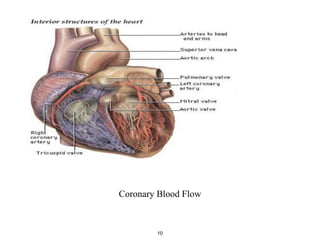 Coronary Blood Flow
10
 
