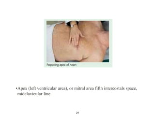 •Apex (left ventricular area), or mitral area fifth intercostals space,
midclavicular line.
24
 