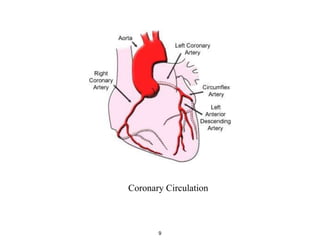 Coronary Circulation
9
 