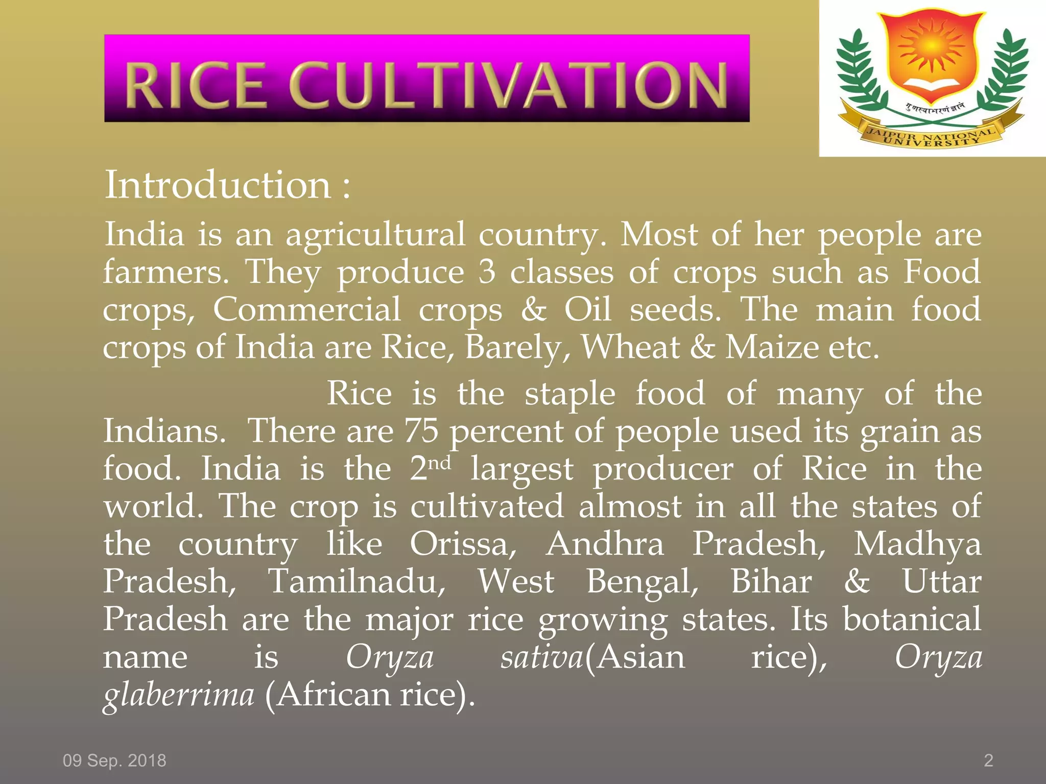 Rice crop | PPT