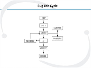 Bug Life Cycle
 