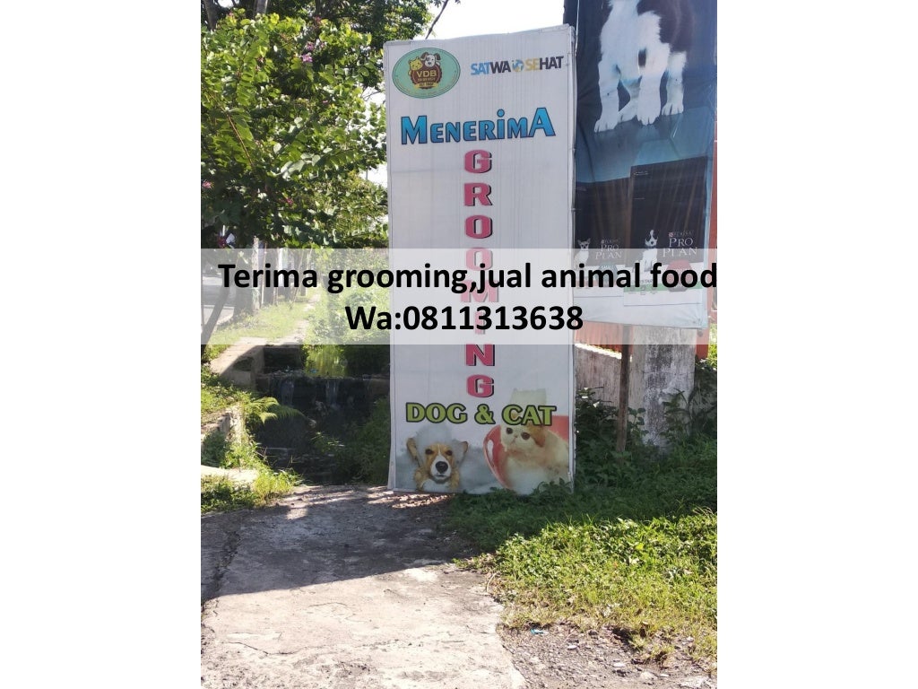 Terjangkau!,WA:0811313638/081232308889 VDB Petshop Malang,Harga Grosi…
