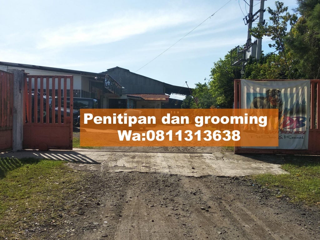 Terjangkau!,WA:0811313638/081232308889 VDB Petshop Malang,Harga Grosi…