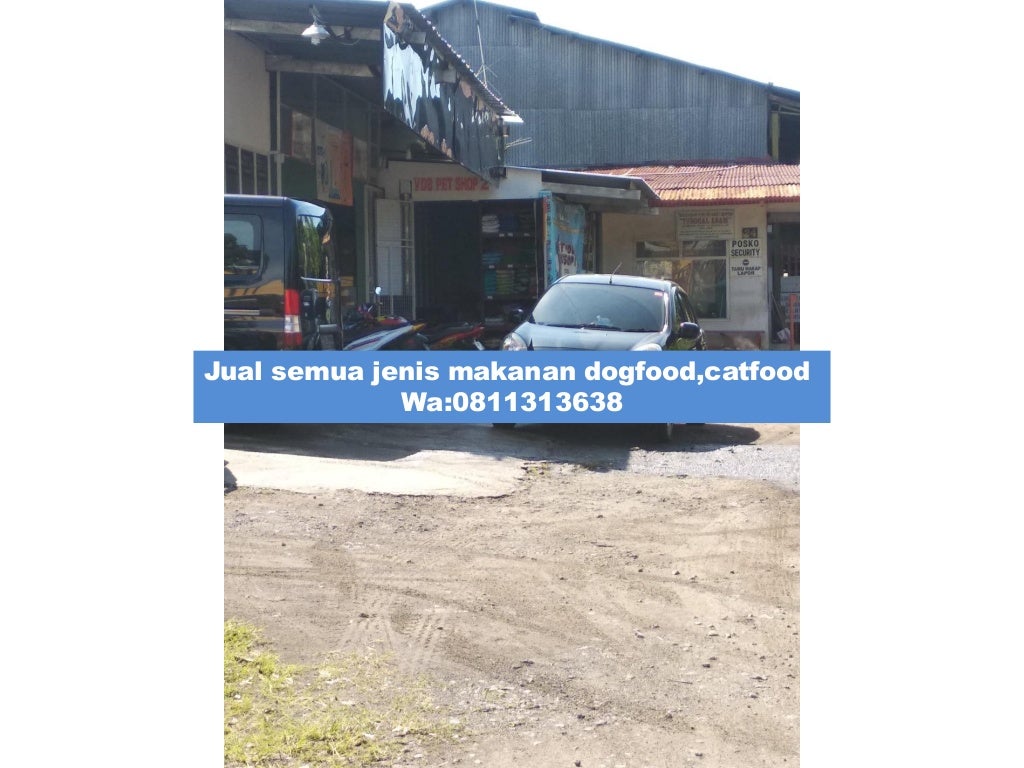 Terjangkau!,WA:0811313638/081232308889 VDB Petshop Malang,Harga Grosi…