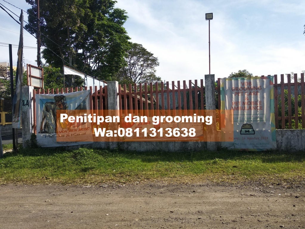 Terjangkau!,WA:0811313638/081232308889 VDB Petshop Malang,Harga Grosi…