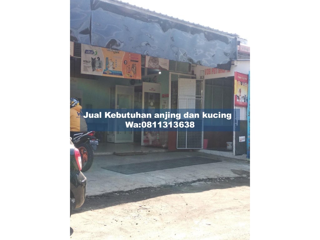 Terjangkau!,WA:0811313638/081232308889 VDB Petshop Malang,Harga Grosi…