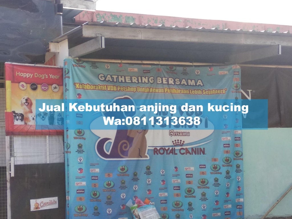 Terjangkau!,WA:0811313638/081232308889 VDB Petshop Malang,Harga Grosi…