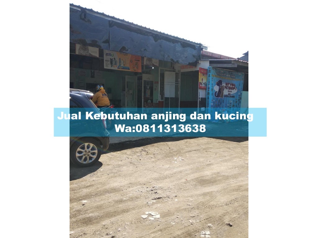 Terjangkau!,WA:0811313638/081232308889 VDB Petshop Malang,Harga Grosi…