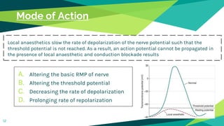 Mode of Action
12
Local anaesthetics slow the rate of depolarization of the nerve potential such that the
threshold potential is not reached. As a result, an action potential cannot be propagated in
the presence of local anaesthetic and conduction blockade results
A. Altering the basic RMP of nerve
B. Altering the threshold potential
C. Decreasing the rate of depolarization
D. Prolonging rate of repolarization
 