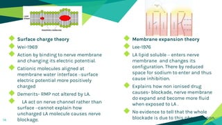 14
◆ Surface charge theory
◆ Wei-1969
◆ Action by binding to nerve membrane
and changing its electric potential.
◆ Cationic molecules aligned at
membrane water interface –surface
electric potential more positively
charged
◆ Demerits- RMP not altered by LA.
◆ LA act on nerve channel rather than
surface –cannot explain how
uncharged LA molecule causes nerve
blockage.
◆ Membrane expansion theory
◆ Lee-1976
◆ LA lipid soluble – enters nerve
membrane and changes its
configuration. There by reduced
space for sodium to enter and thus
cause inhibition.
◆ Explains how non ionised drug
causes- blockade, nerve membrane
do expand and become more fluid
when exposed to LA .
◆ No evidence to tell that the whole
blockade is due to this phenomenon.
 