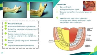 Landmarks
1. Coronoid notch
2. Pterygomandibular raphe
3. Occlusal plane of the mandibular posterior
teeth.
25
◆ Area anesthetized
◆ Mandibular teeth of the injected side.
◆ Body of the mandible, inferior portion of
the ramus.
◆ Buccal mucoperiosteum, mucous
membrane anterior to the mandibular
1st molar.
◆ Anterior 2/3rd of tongue and floor of the
mouth.
◆ Lingual soft tissue and periosteum.
 Used for more than 1 tooth treatment,
extraction, pulp therapy and if can’t apply
mental block due to infection
 