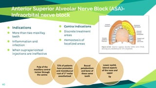 Anterior Superior Alveolar Nerve Block (ASA)-
Infraorbital nerve block
◆ Indications
◆ More than two maxillay
teeth
◆ Inflammation and
infection
◆ When supraperiosteal
injections are ineffective
◆ Contra indications
◆ Discrete treatment
areas
◆ Hemostasis of
localized areas
40
Pulp of the
maxillary central
incisor through
the canine
72% of patients
have premolars
and mesiobuccal
root of 1st molar
anesthetized
Buccal
peiodontium
and bone of
these same
teeth
Lower eyelid,
lateral aspects
of the nose and
upper
lip
 