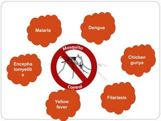 Malaria
Filariasis
Yellow
fever
Chicken
gunya
Dengue
Encepha
lomyeliti
s
 