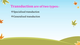 Ppt | PPTX