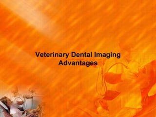 Veterinary Dental Imaging
Advantages
 