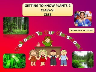 GETTING TO KNOW PLANTS-2
CLASS-VI
CBSE
NANDITHAAKUNURI
 
