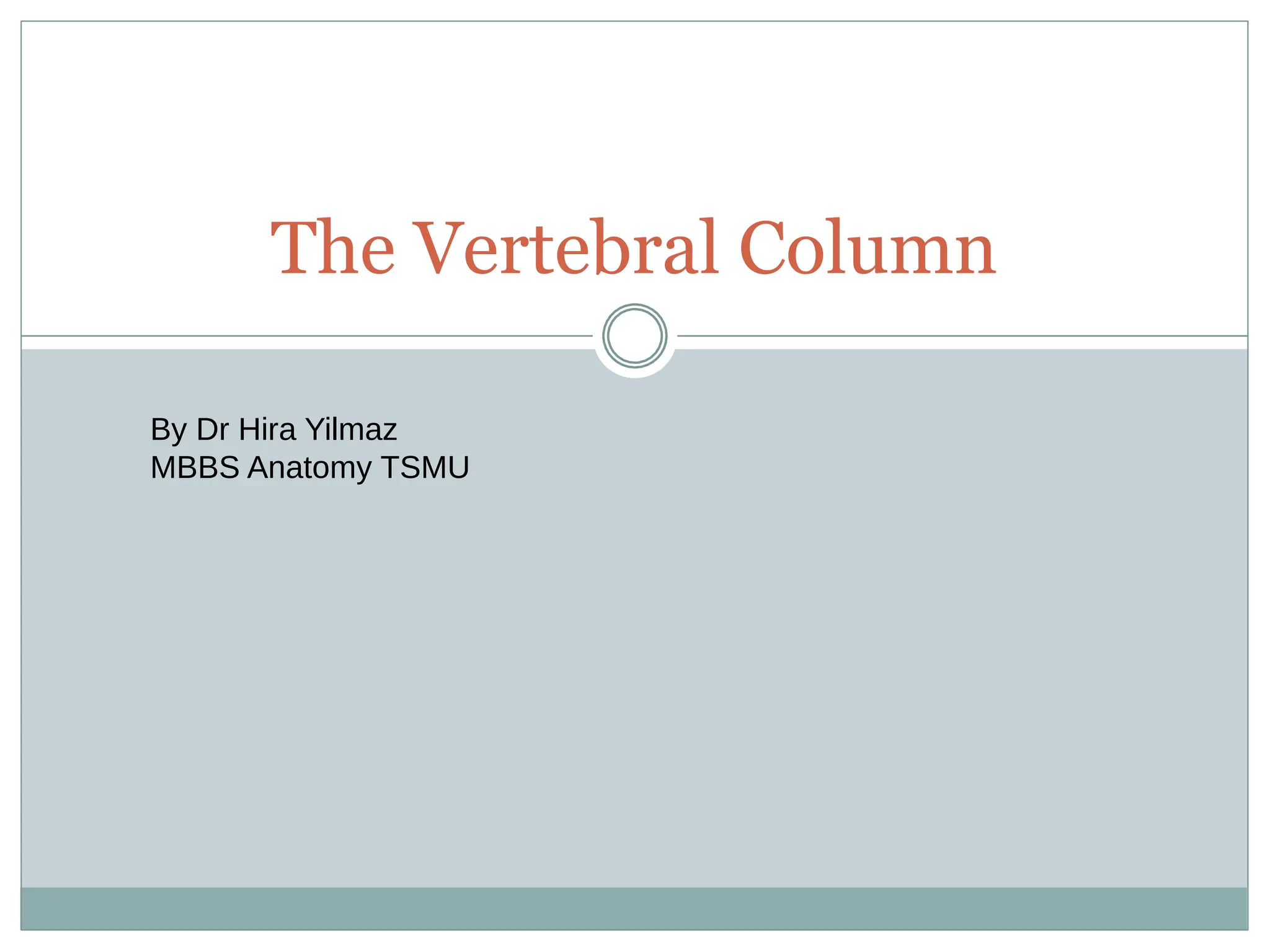 The Vertebral Column
By Dr Hira Yilmaz
MBBS Anatomy TSMU
 