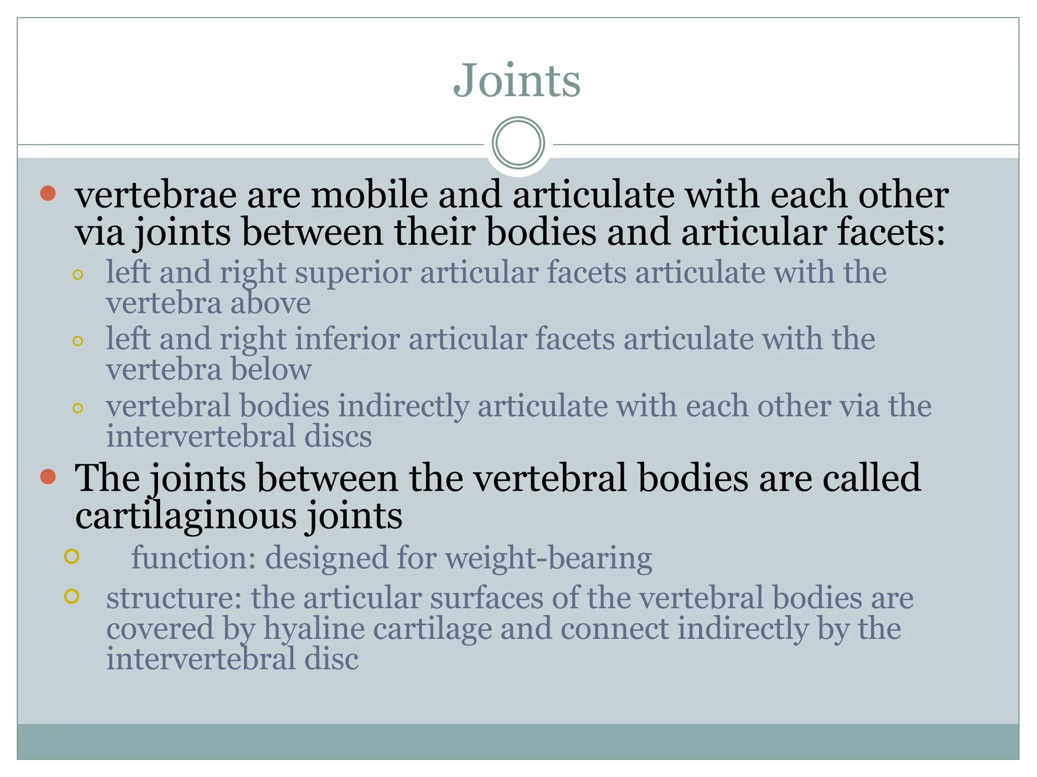 Joints
⚫ vertebrae are mobile and articulate with each other
via joints between their bodies and articular facets:
⚪ left and right superior articular facets articulate with the
vertebra above
⚪ left and right inferior articular facets articulate with the
vertebra below
⚪ vertebral bodies indirectly articulate with each other via the
intervertebral discs
⚫ The joints between the vertebral bodies are called
cartilaginous joints
⚪ function: designed for weight-bearing
⚪ structure: the articular surfaces of the vertebral bodies are
covered by hyaline cartilage and connect indirectly by the
intervertebral disc
 