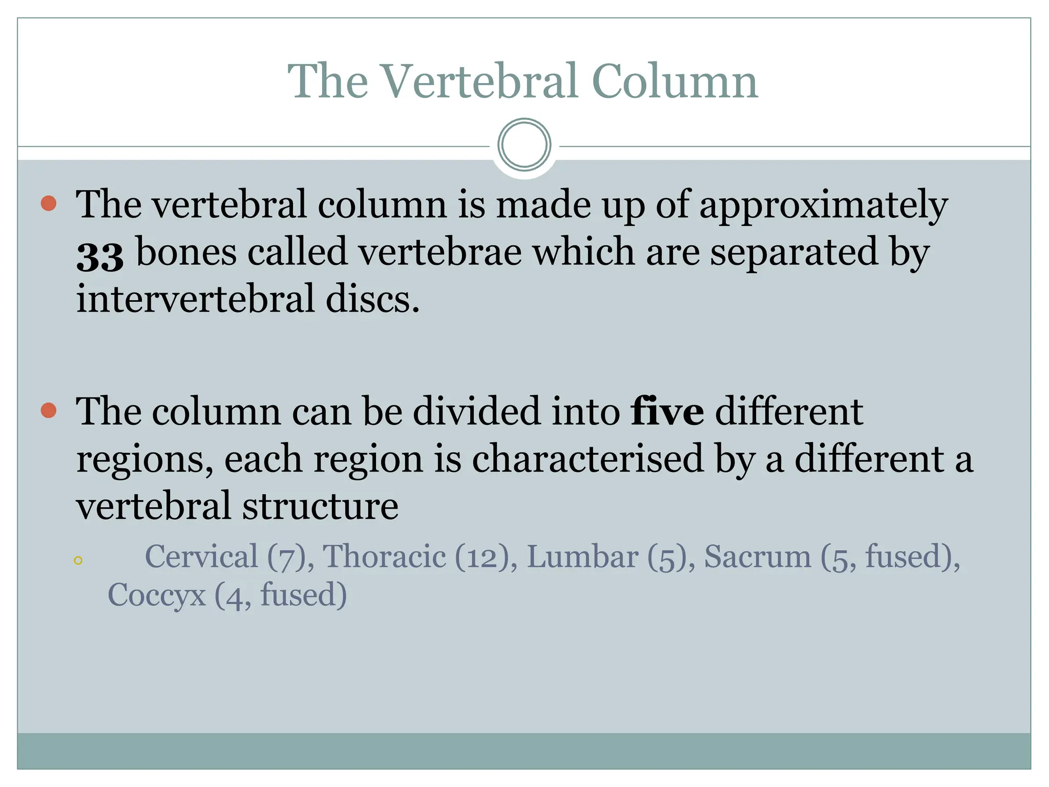 The Vertebral Column
⚫ The vertebral column is made up of approximately
33 bones called vertebrae which are separated by
intervertebral discs.
⚫ The column can be divided into five different
regions, each region is characterised by a different a
vertebral structure
⚪ Cervical (7), Thoracic (12), Lumbar (5), Sacrum (5, fused),
Coccyx (4, fused)
 