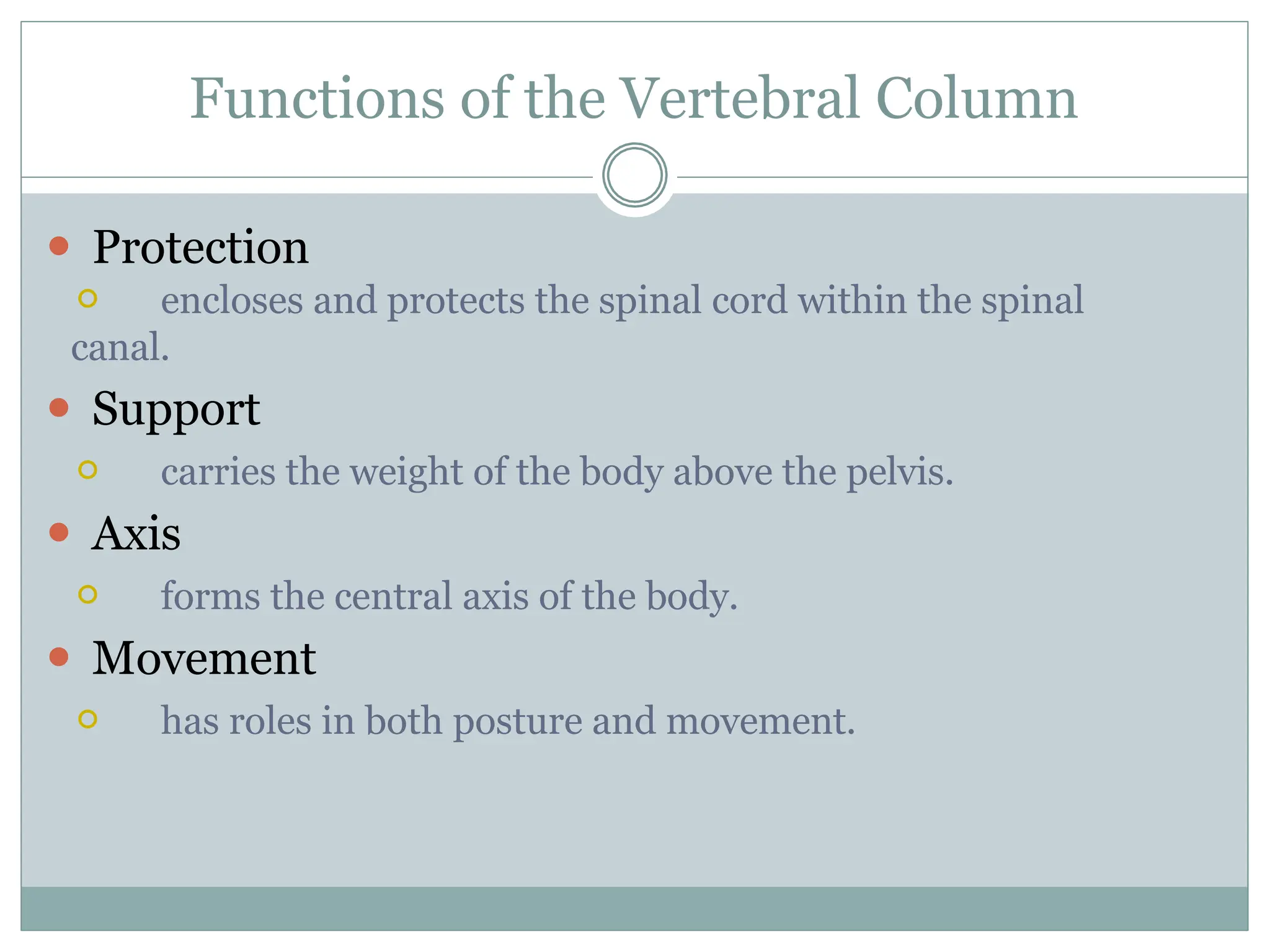 Functions of the Vertebral Column
⚫ Protection
⚪ encloses and protects the spinal cord within the spinal
canal.
⚫ Support
⚪ carries the weight of the body above the pelvis.
⚫ Axis
⚪ forms the central axis of the body.
⚫ Movement
⚪ has roles in both posture and movement.
 