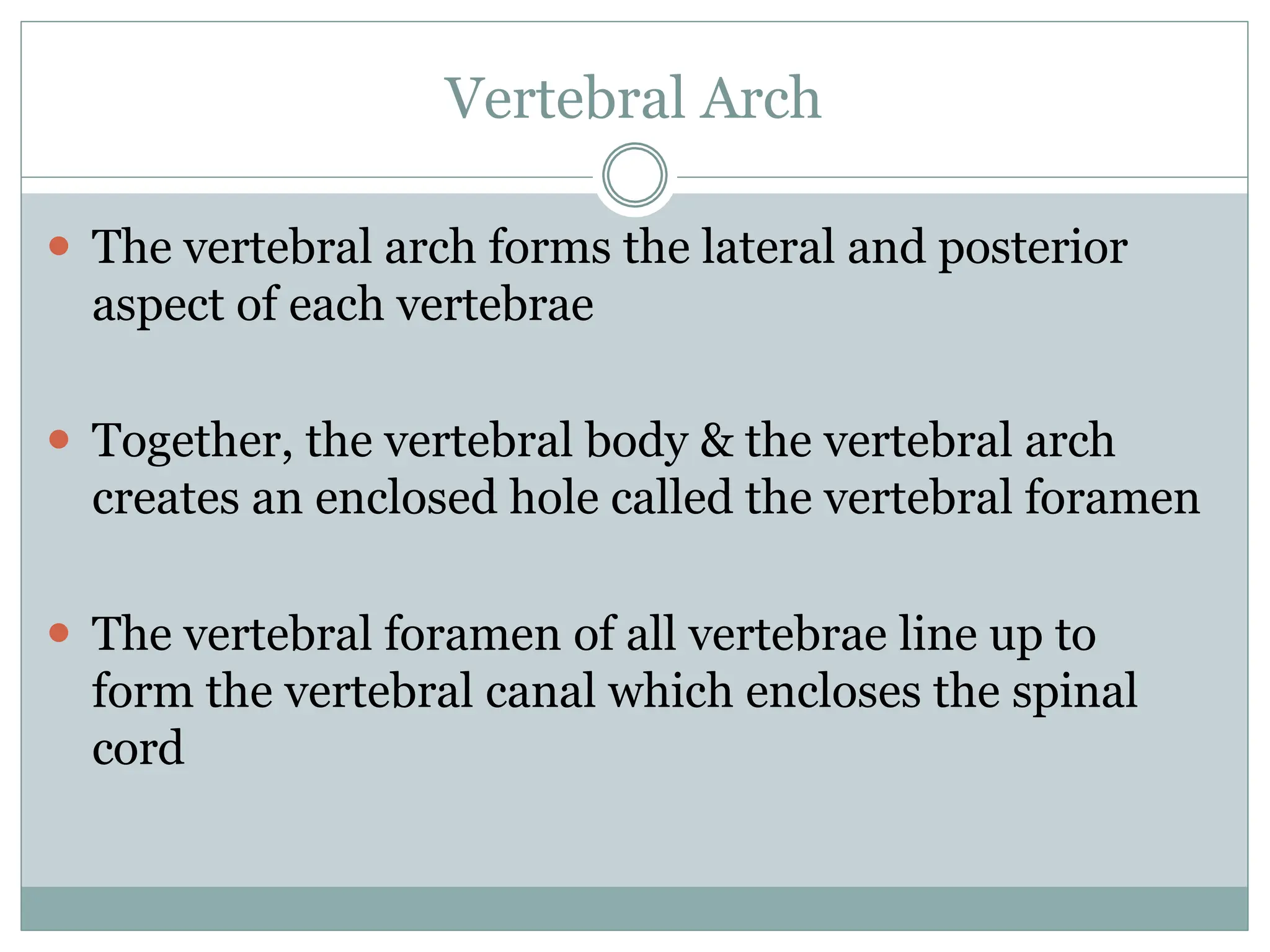 Vertebral Arch
⚫ The vertebral arch forms the lateral and posterior
aspect of each vertebrae
⚫ Together, the vertebral body & the vertebral arch
creates an enclosed hole called the vertebral foramen
⚫ The vertebral foramen of all vertebrae line up to
form the vertebral canal which encloses the spinal
cord
 